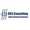 Dss Consulting